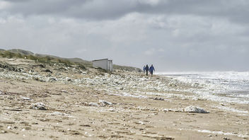 Fluffy beach - Free image #463635